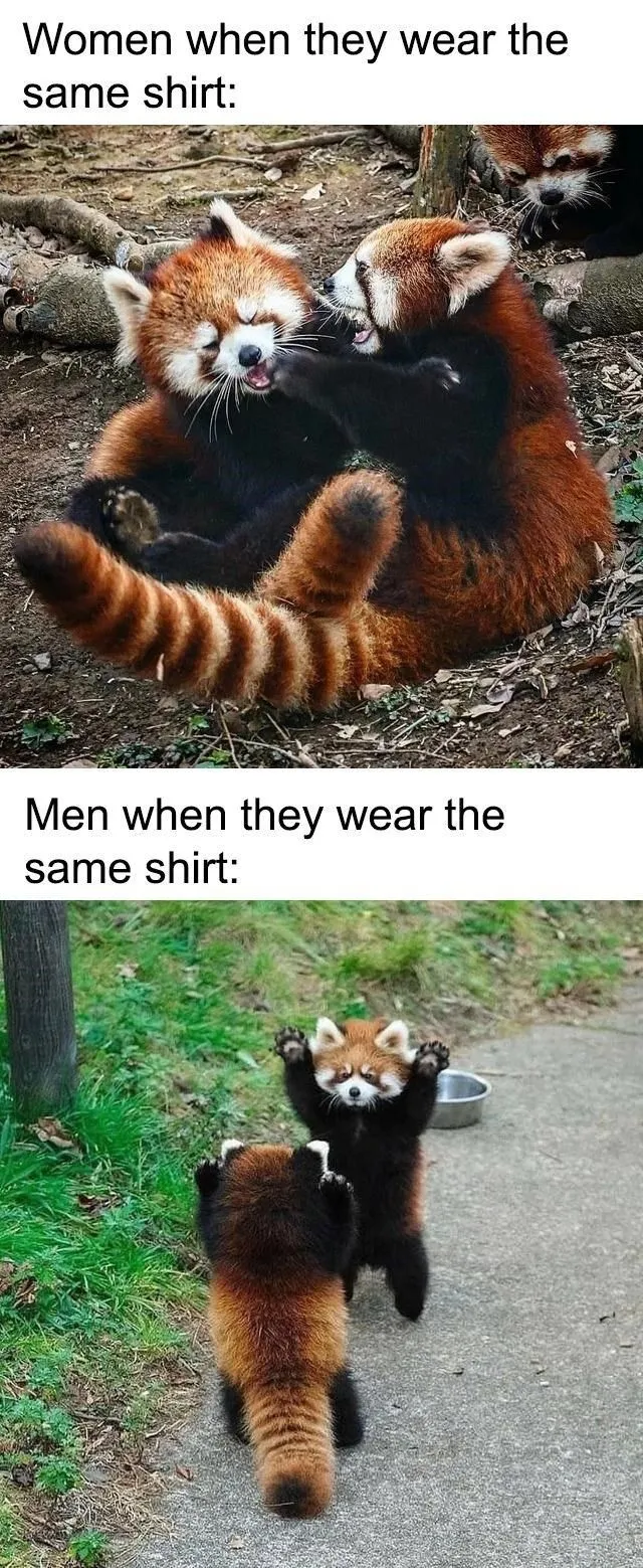 red-panda-women-they-wear-same-shirt-men-they-wear-same-shirt.webp