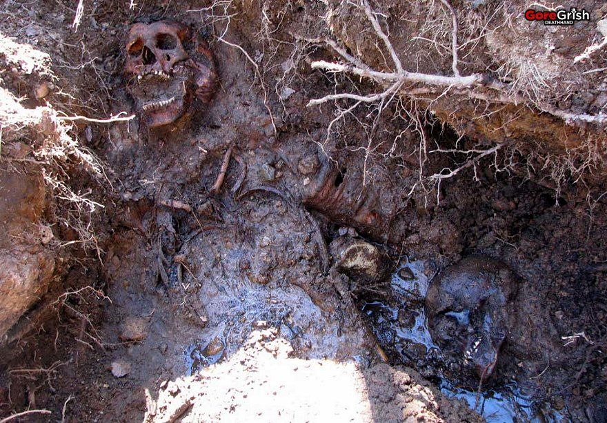 remains-of-9-german-soldiers-excavated10-Belgium.jpg