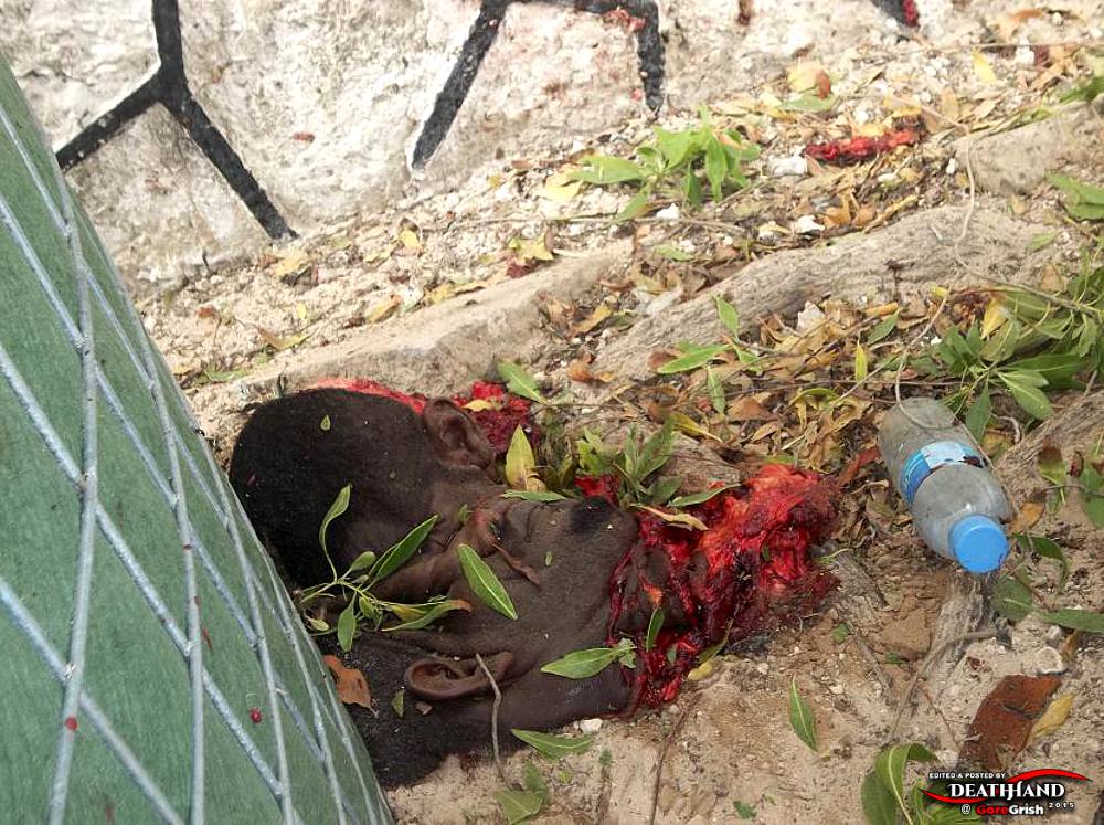 remains-of-two-male-suicide-bombers-8-Mogadishu-SO-aug-1-12.jpg