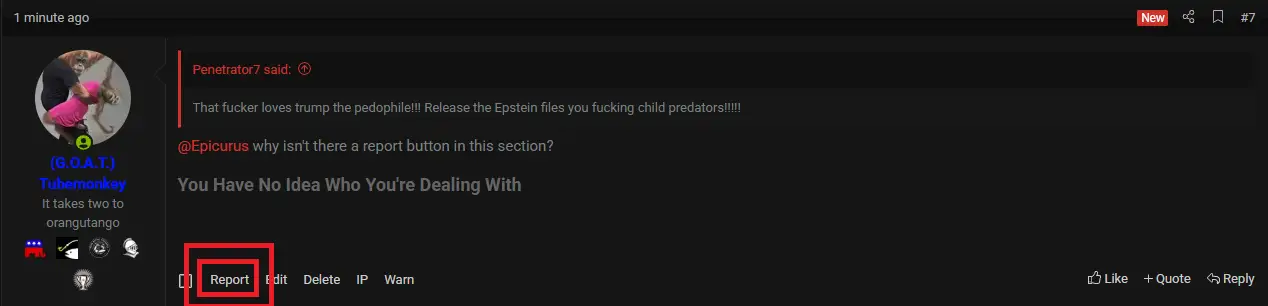 report.webp