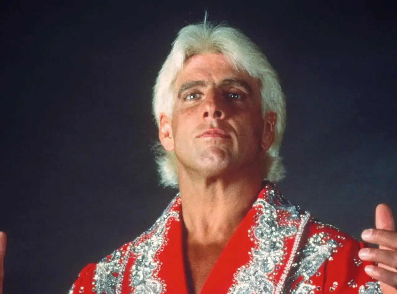 Ric_Flair_effected.webp