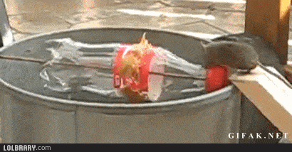 RM1F.gif
