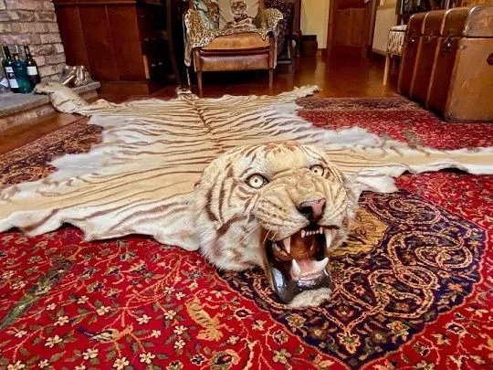 rug.webp