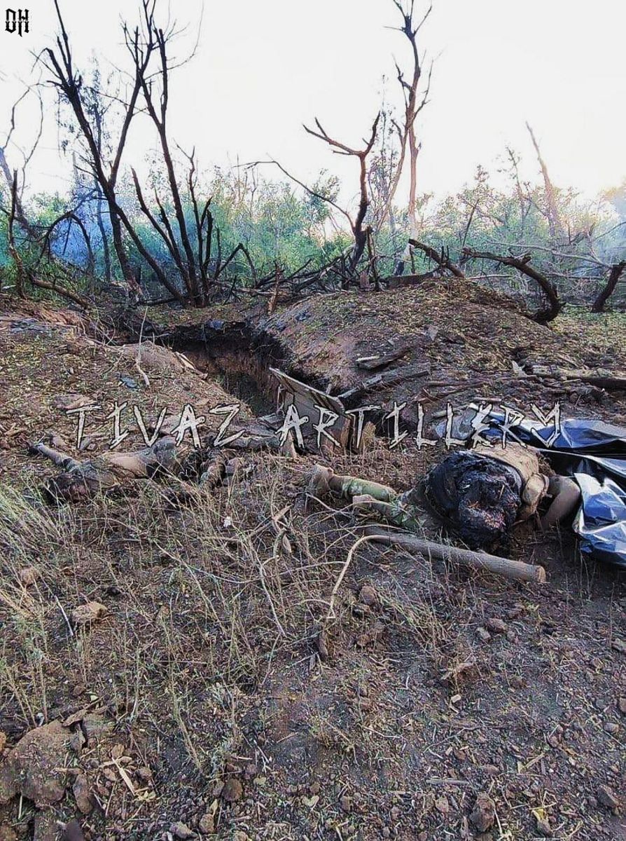 Russian crew of Tulip gun destroyed by Ukrainian HIMARS killed in the strike 3 - Ukraine - ear...jpg