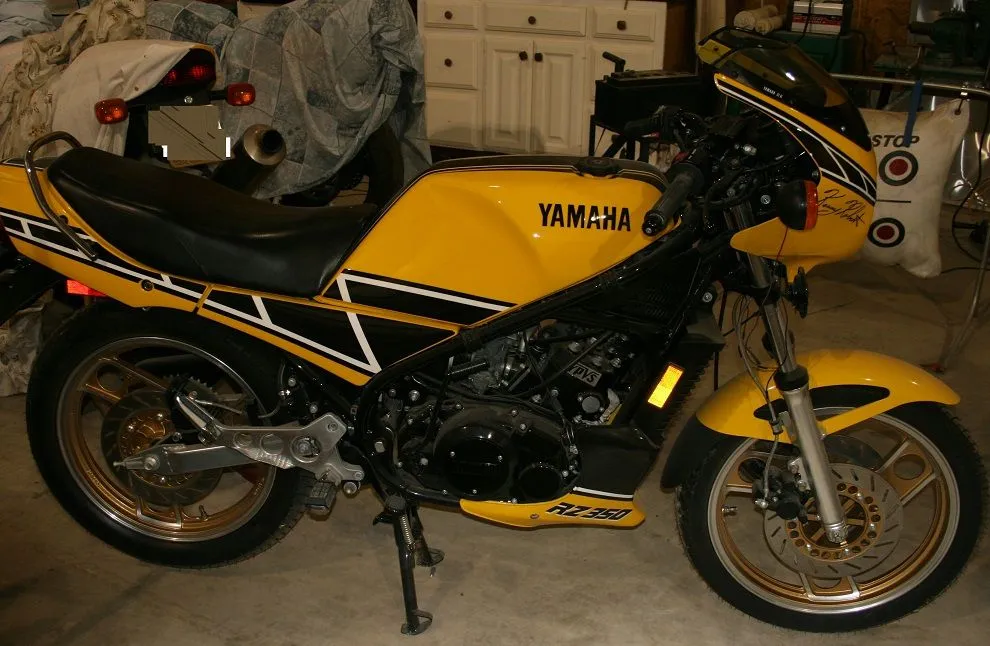 rz35d0yam.webp