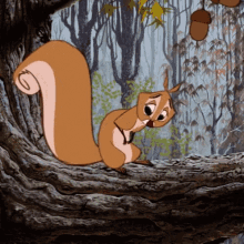sad-squirrel.gif