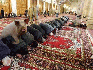 safe_image4.gif