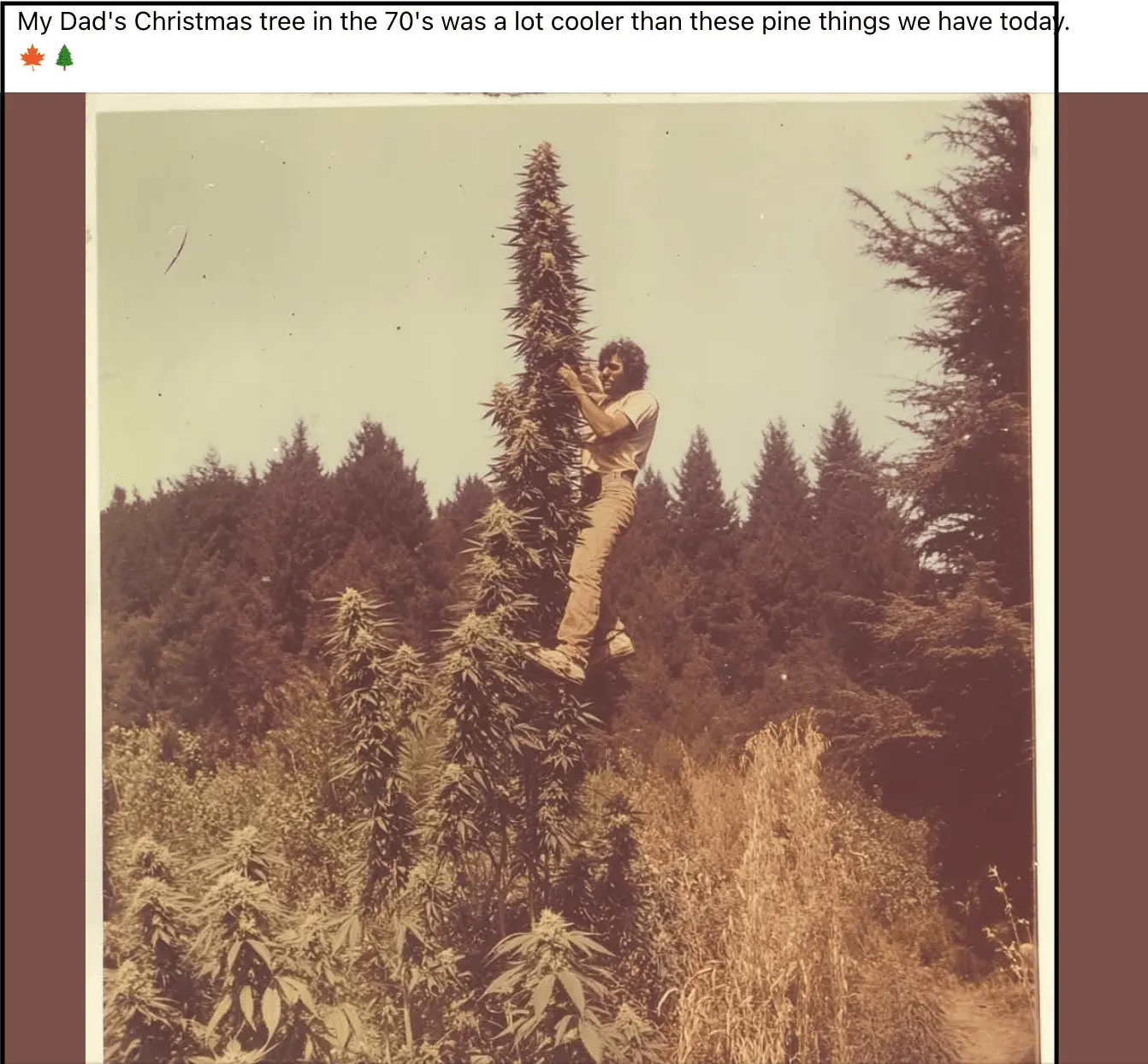Screenshot 2024-12-05 at 2.09.24 PM.webp