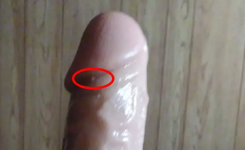 screenshot_162.webp