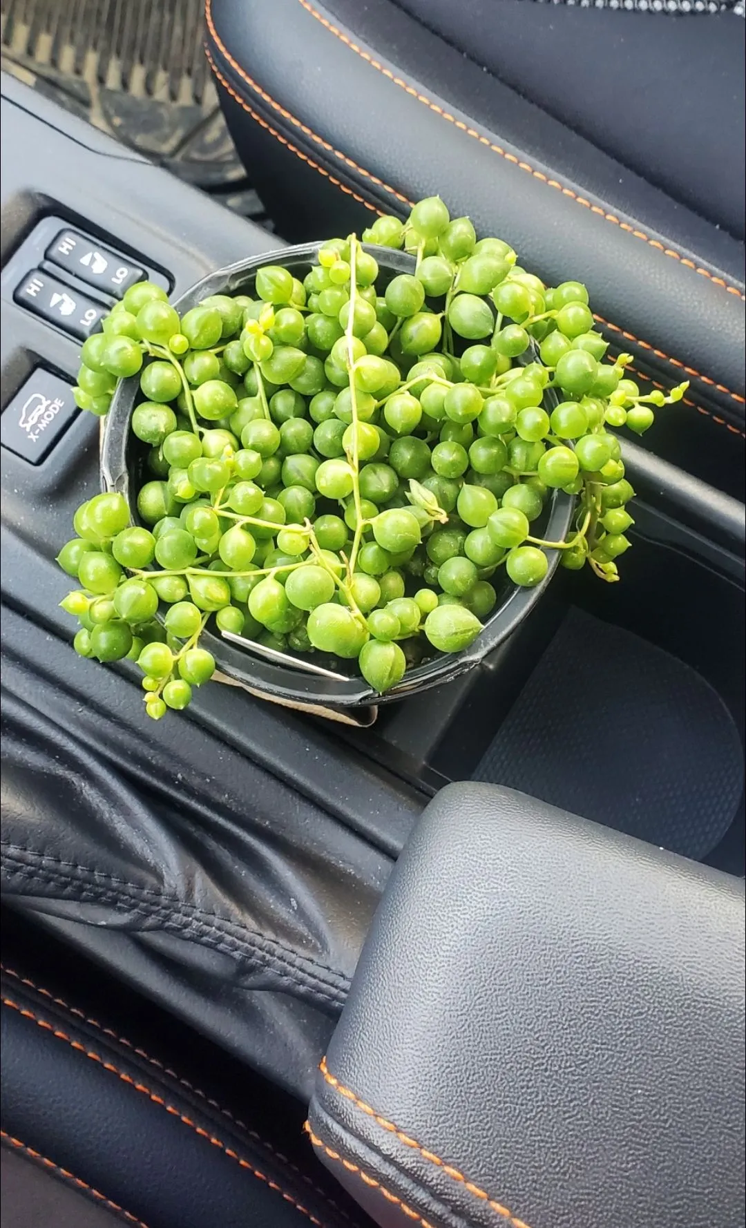 Screenshot_20201120-135824_Gallery.webp
