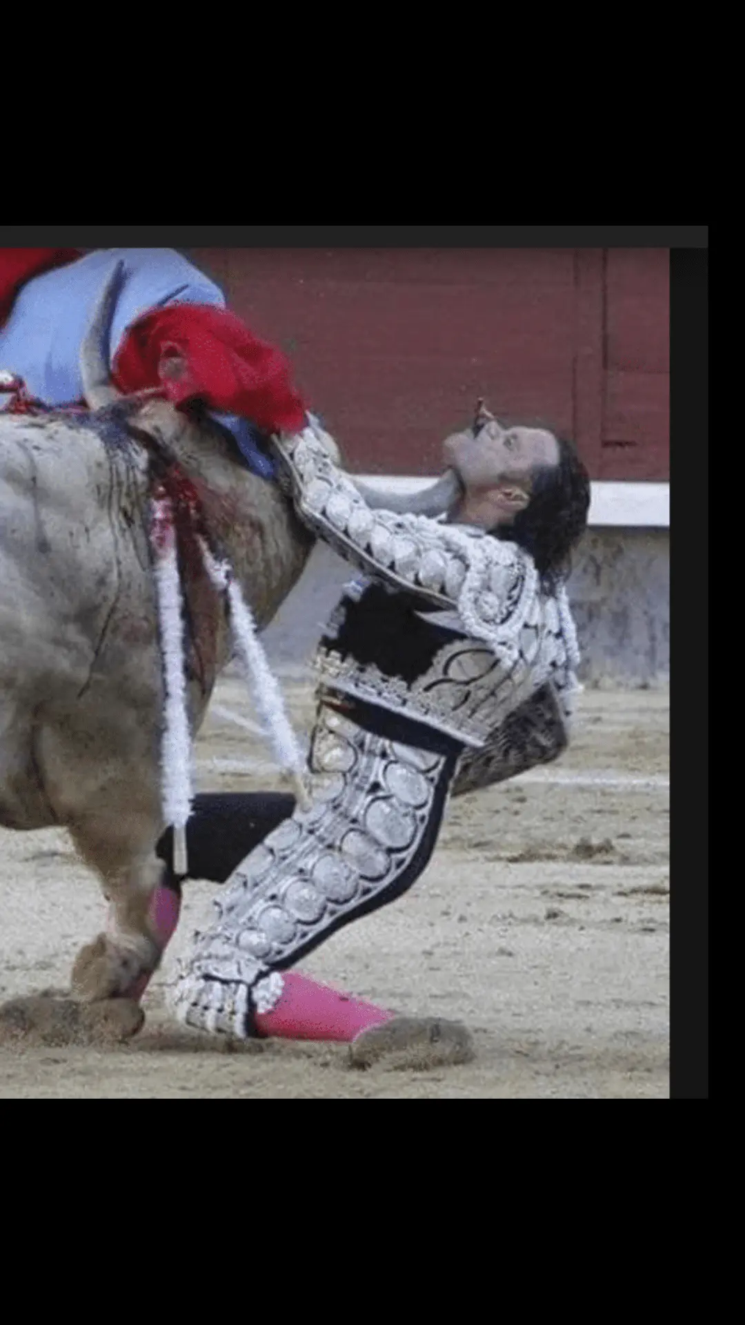 Screenshot_2021-04-20-00-28-05.webp