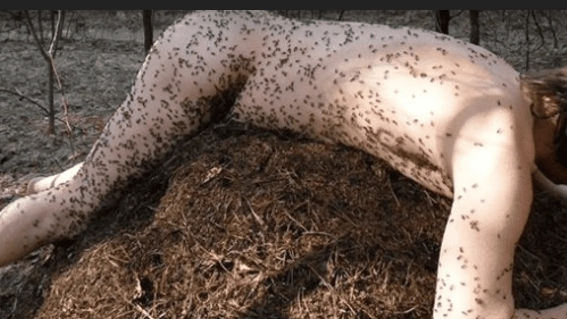 Screenshot_2021-05-11-02-08-47.webp
