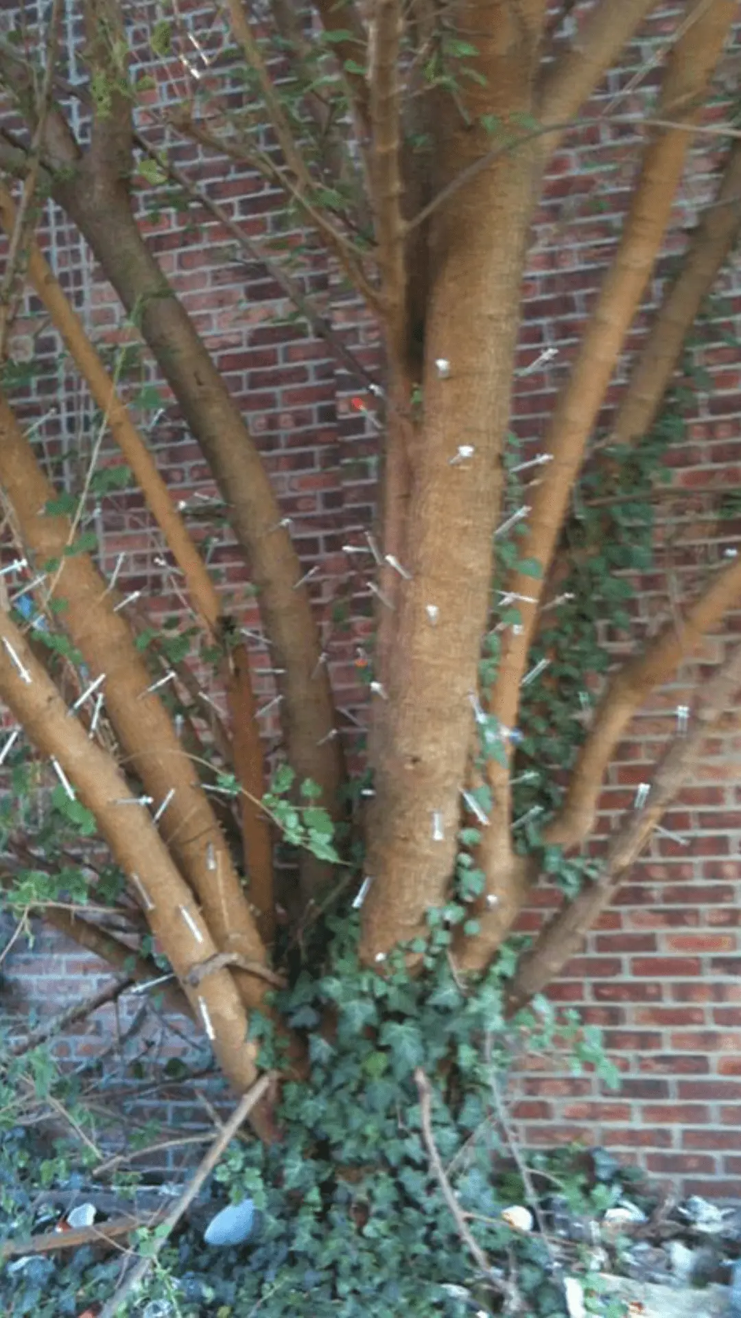Screenshot_2021-06-03-02-44-32.webp