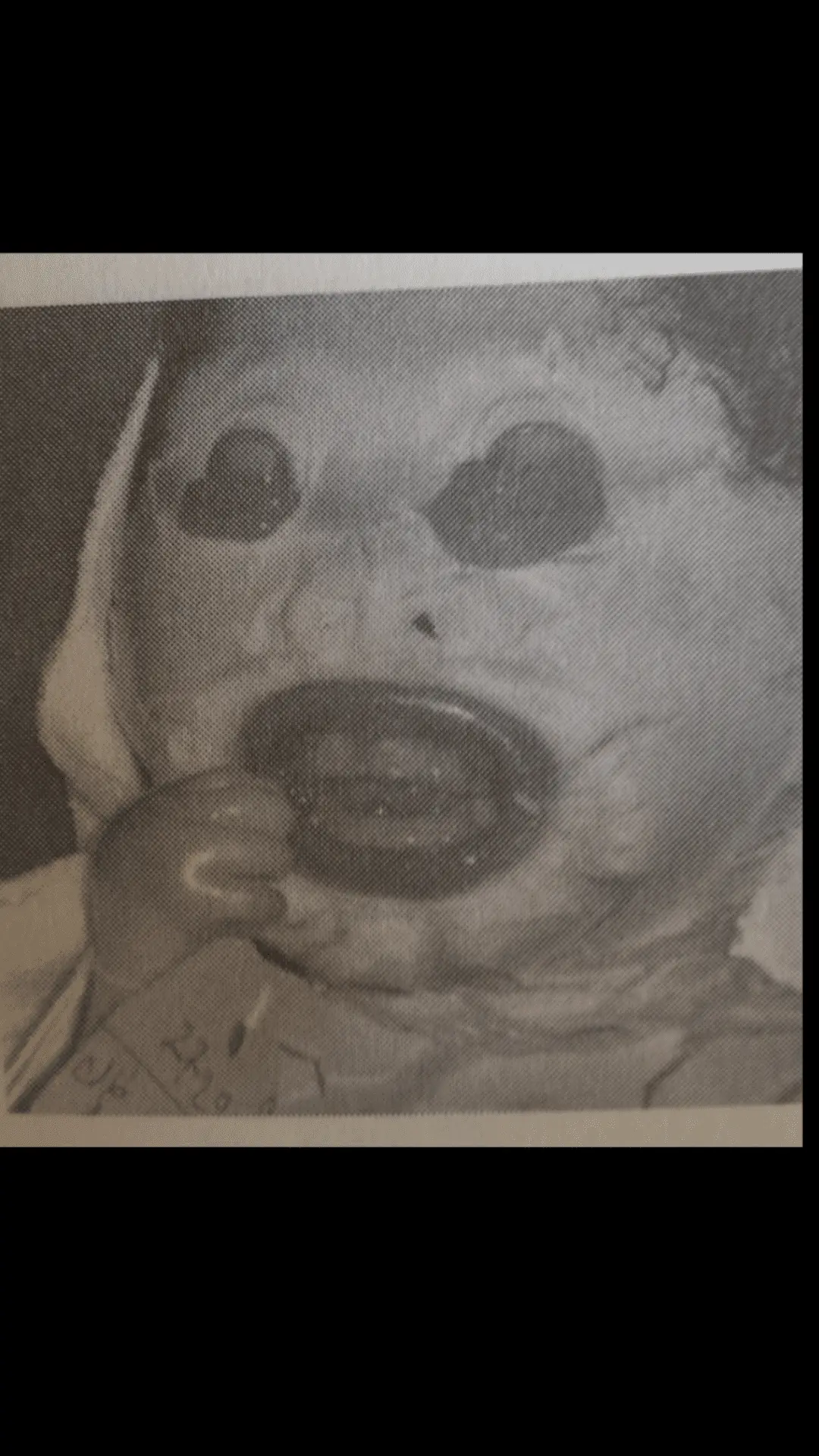 Screenshot_2021-09-27-15-34-03.webp