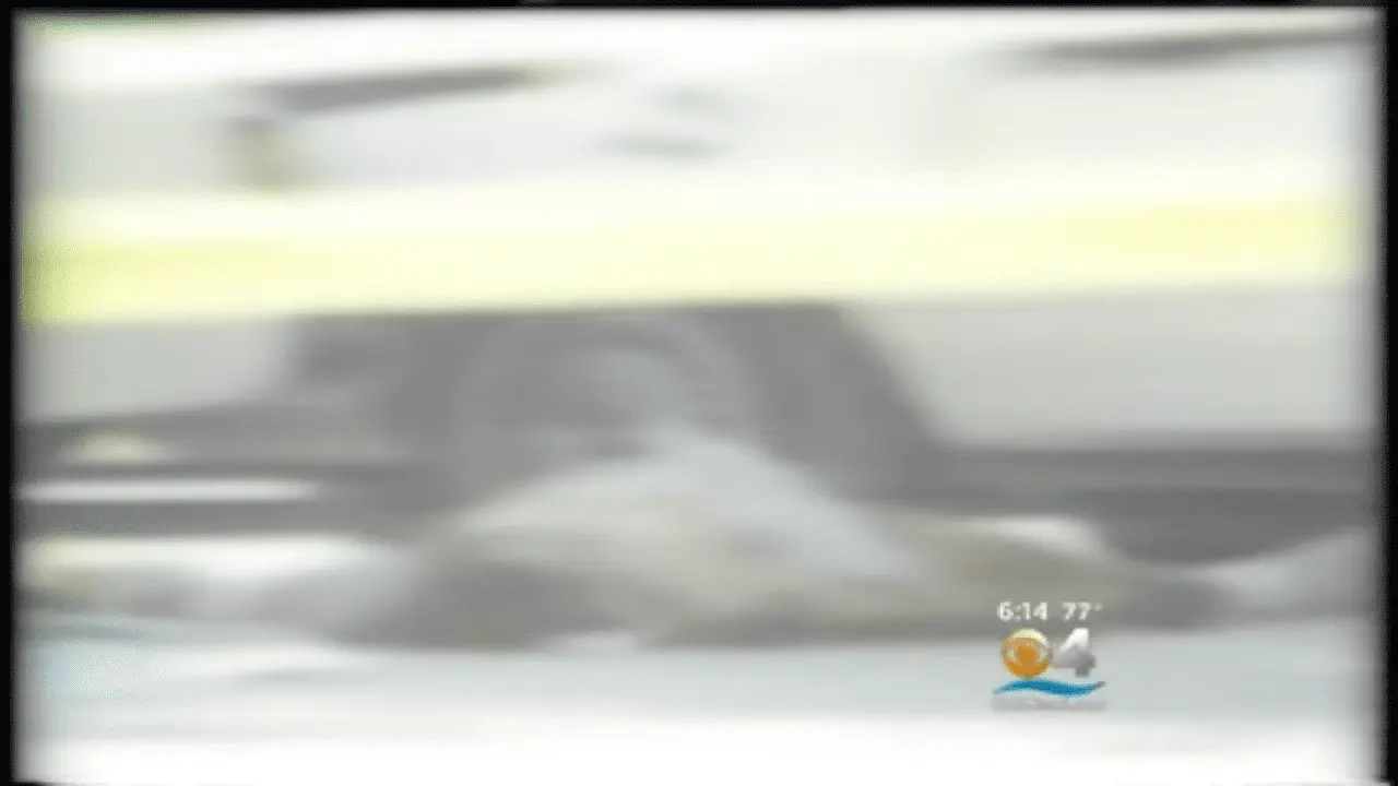 Screenshot_20210321-021928.png