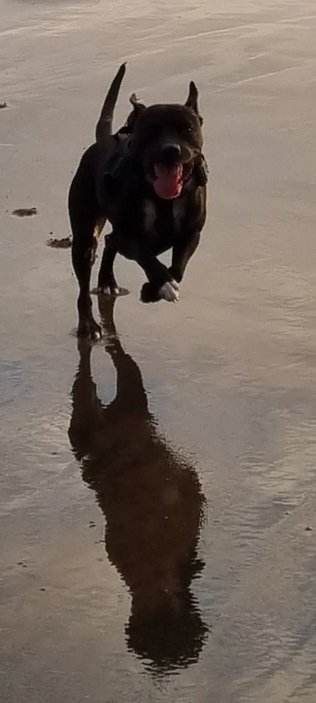Screenshot_20230507_163423_Gallery.webp