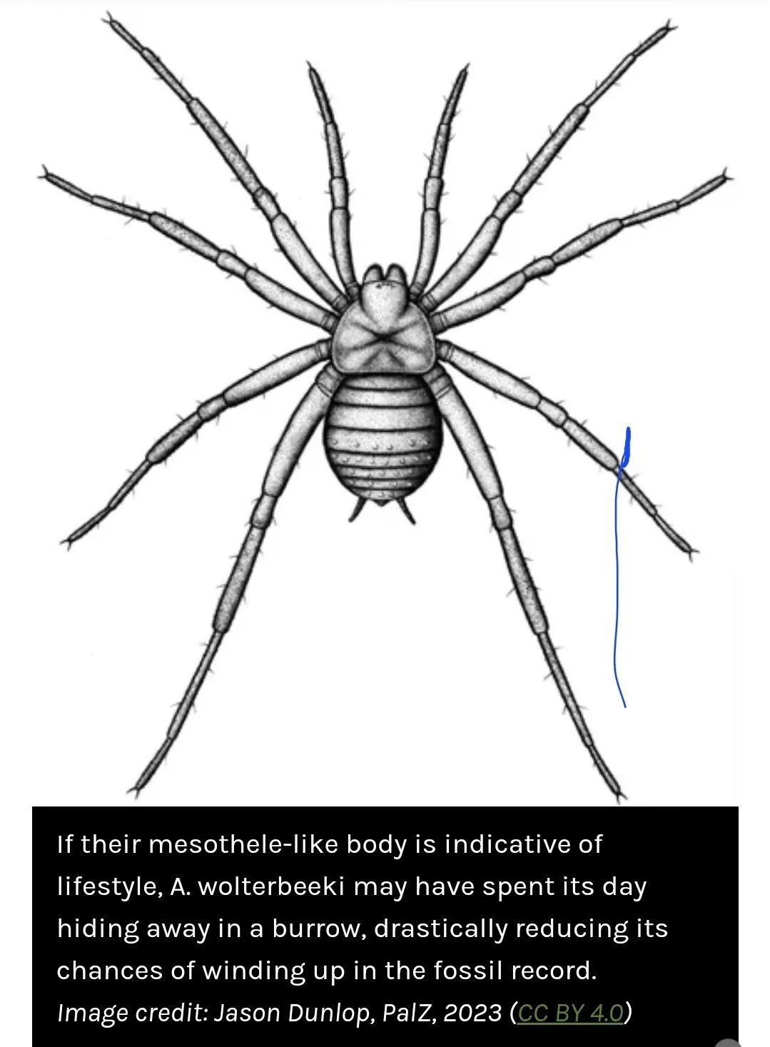 Screenshot_20230730_113202_Chrome.webp