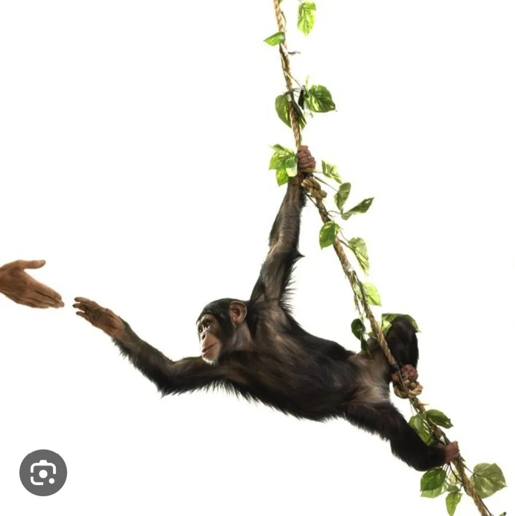 Screenshot_20230802-233522_Google.webp