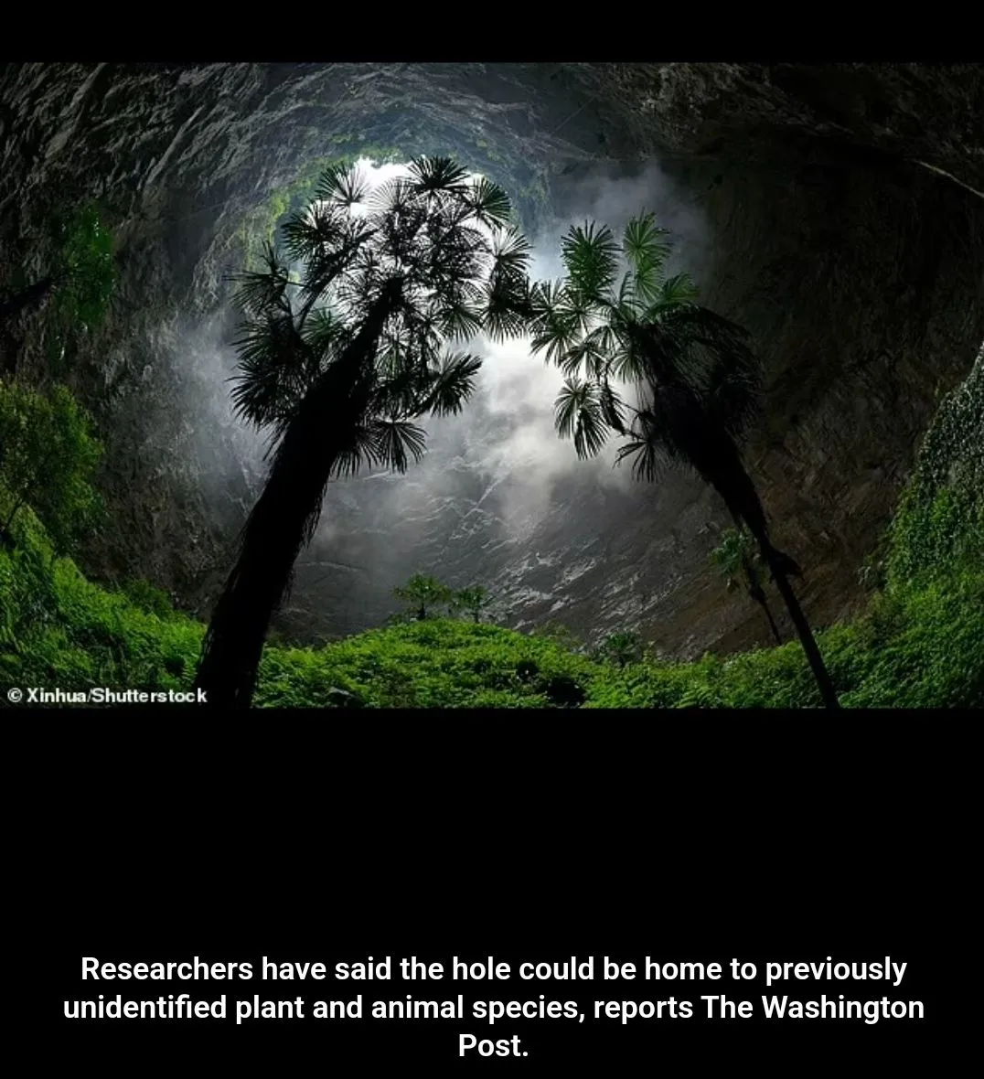 Screenshot_20230823_153607_Chrome.webp