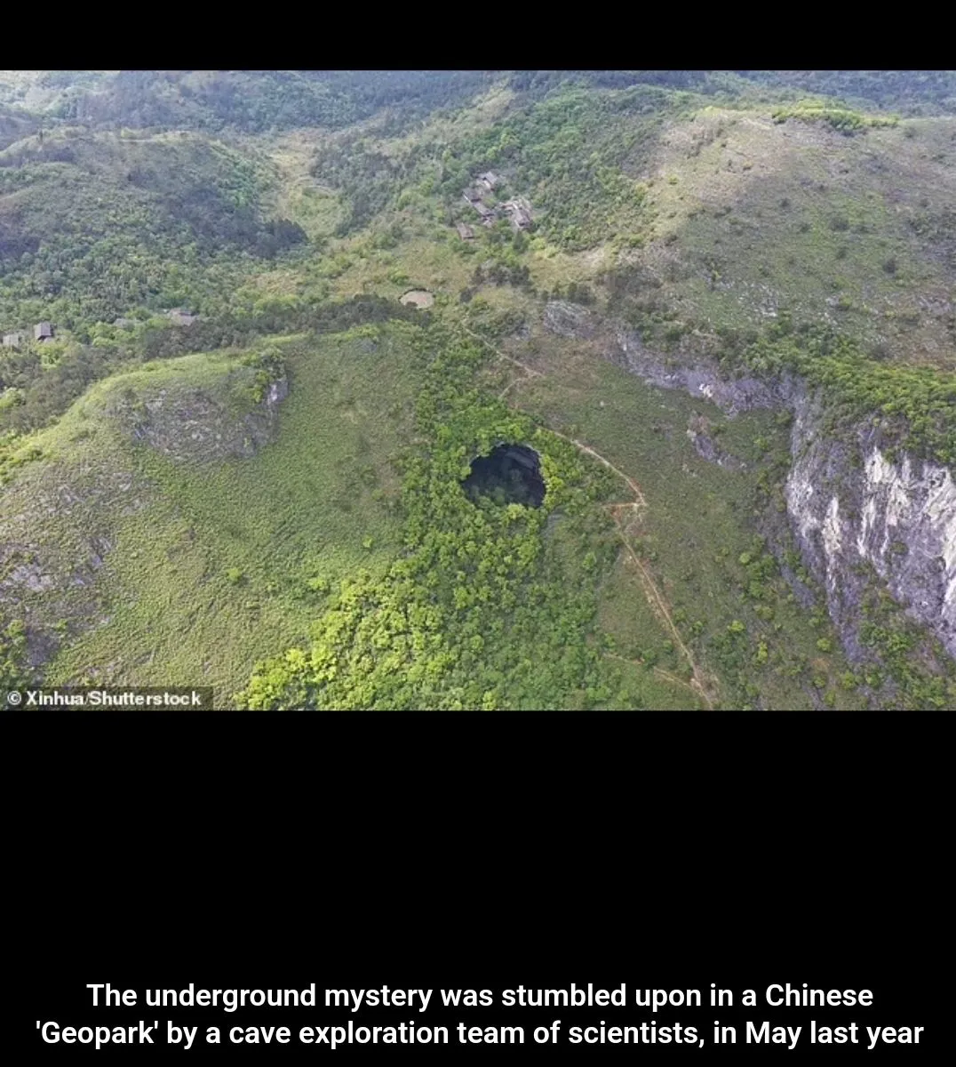 Screenshot_20230823_153621_Chrome.webp