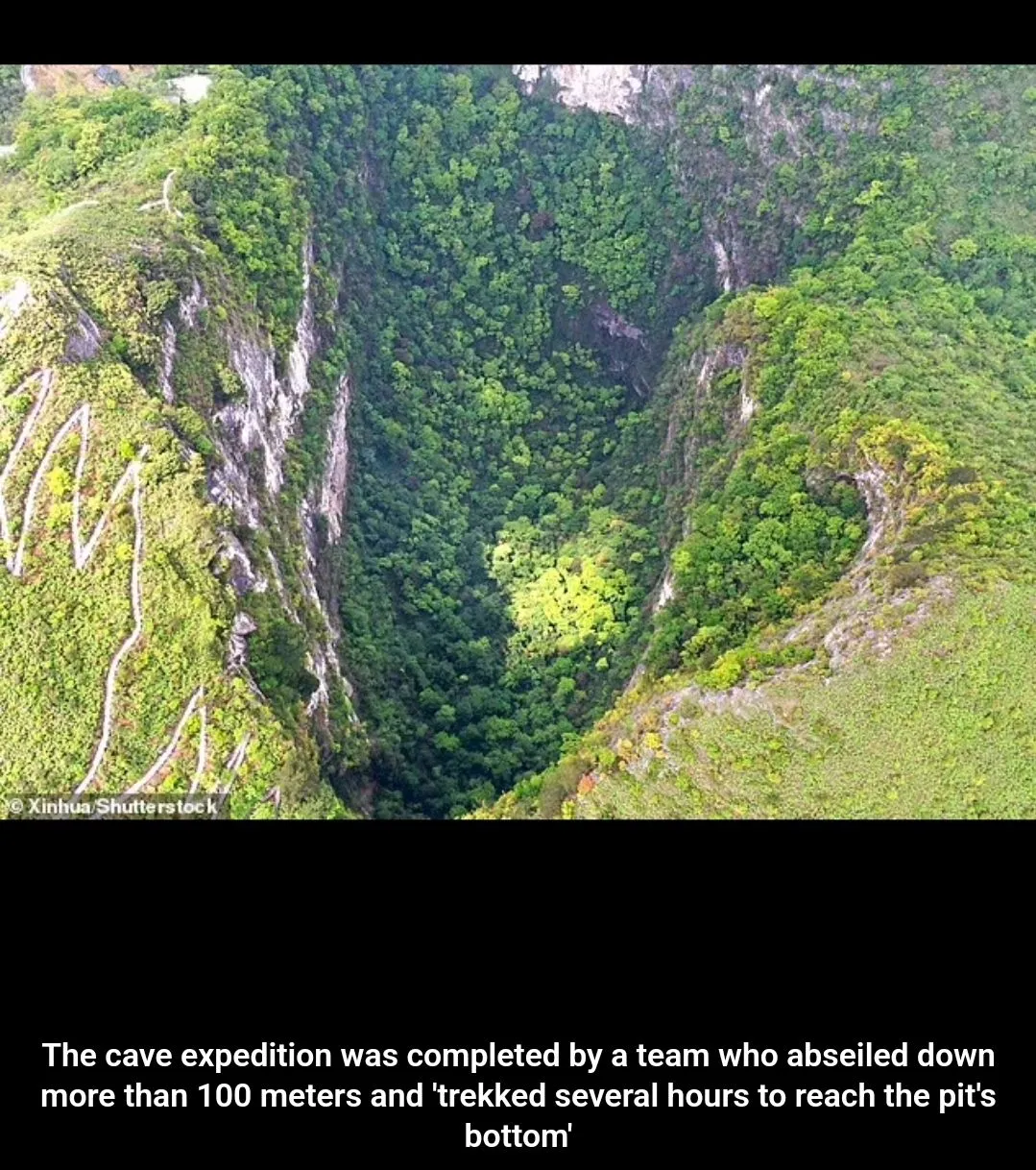 Screenshot_20230823_153648_Chrome.webp