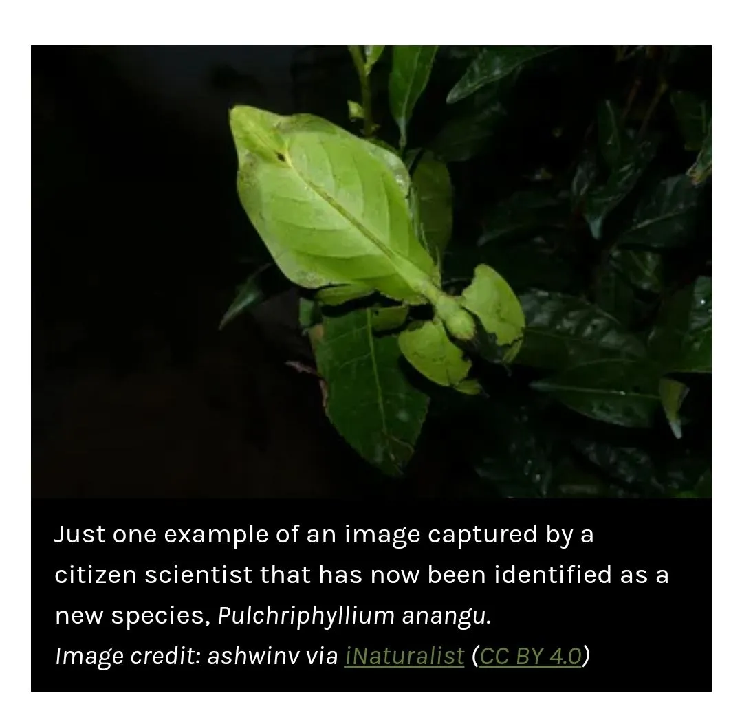 Screenshot_20230901_191221_Chrome.webp