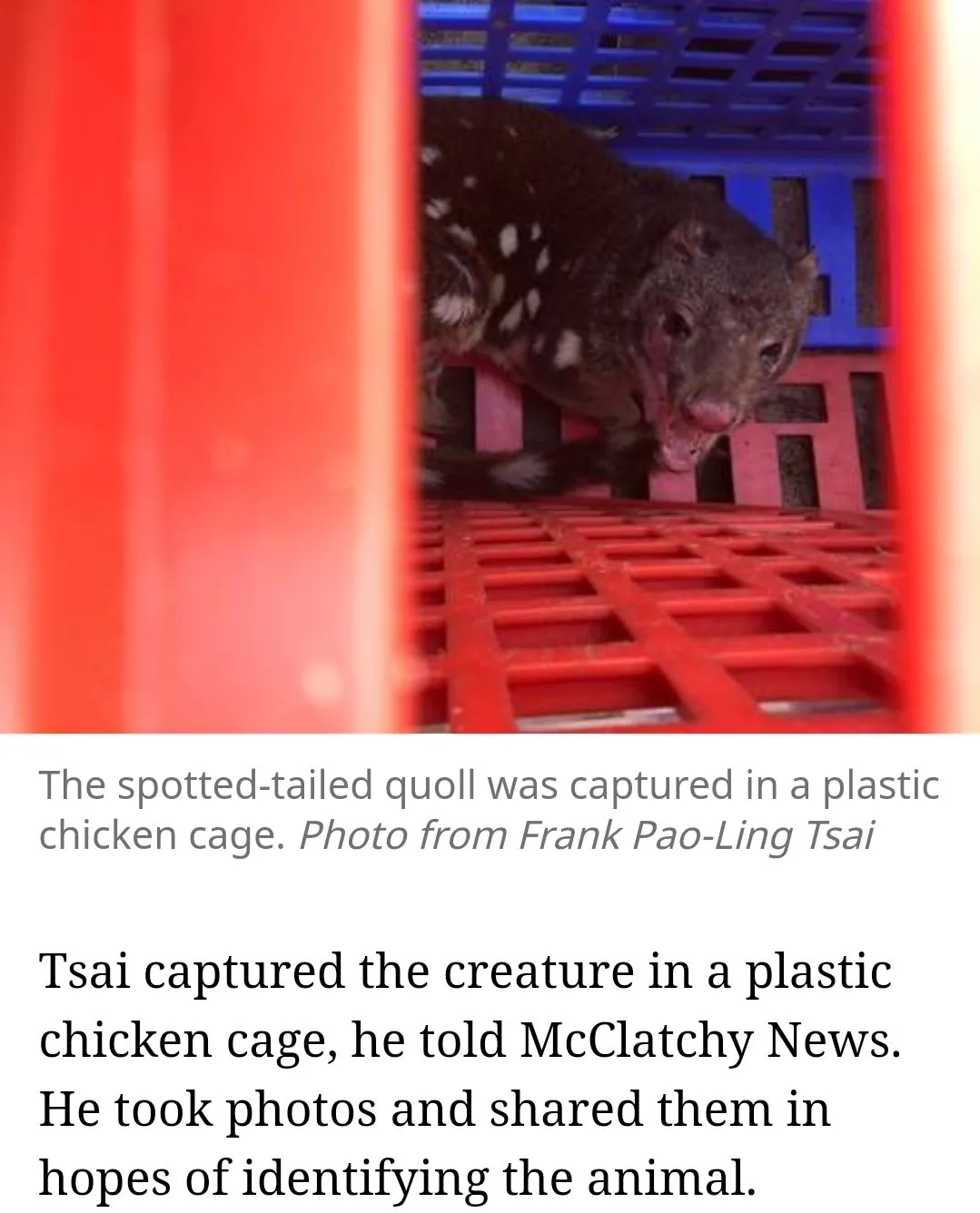 Screenshot_20230930_185256_Chrome.webp