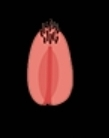 Screenshot_20231126-084012_Chrome.webp