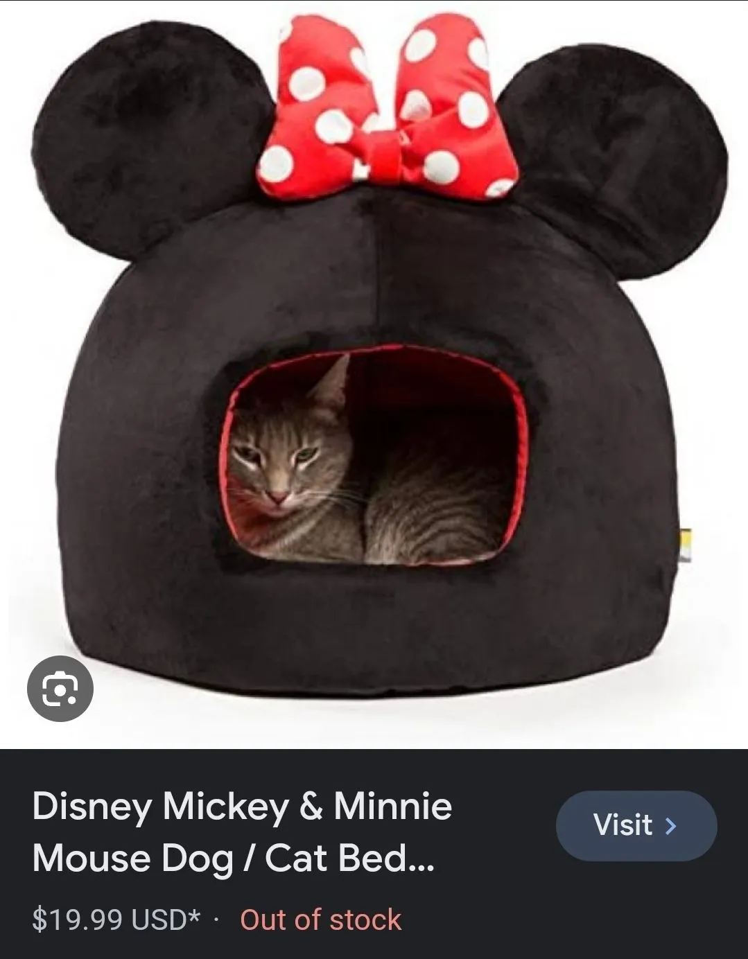 Screenshot_20231203_174630_Google.webp