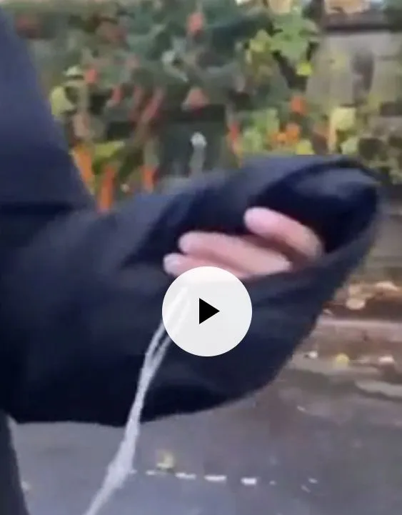 Screenshot_20240308_144544_Chrome.webp