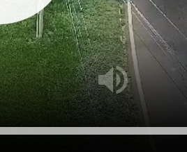 Screenshot_20240317_185843_Chrome.webp