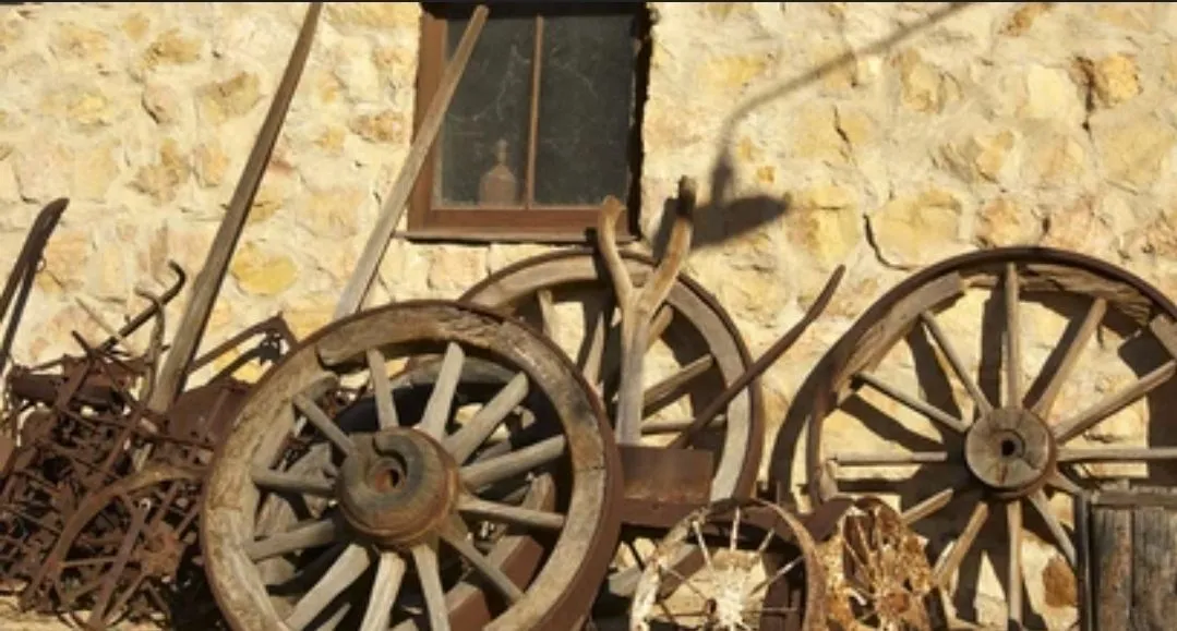 Screenshot_20240327_141713_Google.webp
