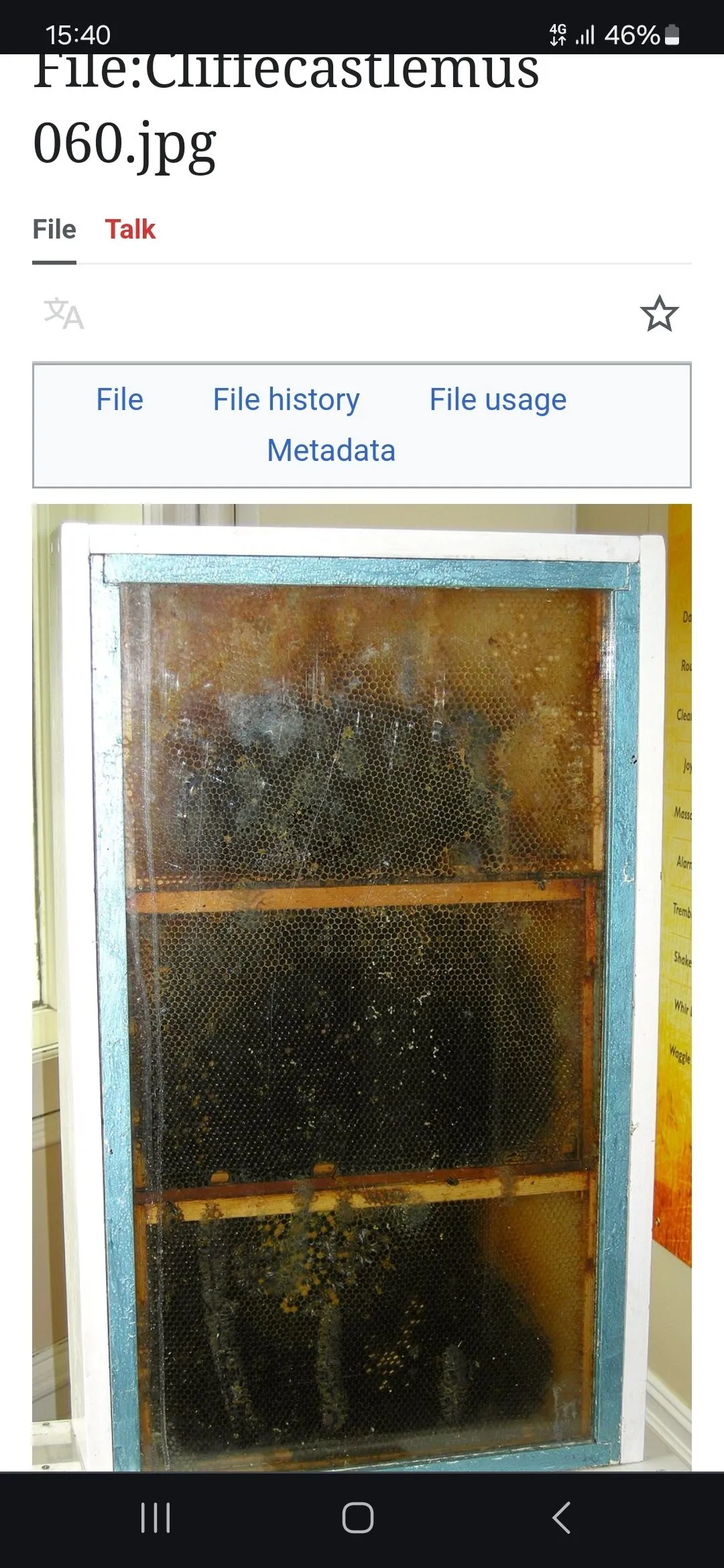 Screenshot_20240507_154000_Chrome.webp