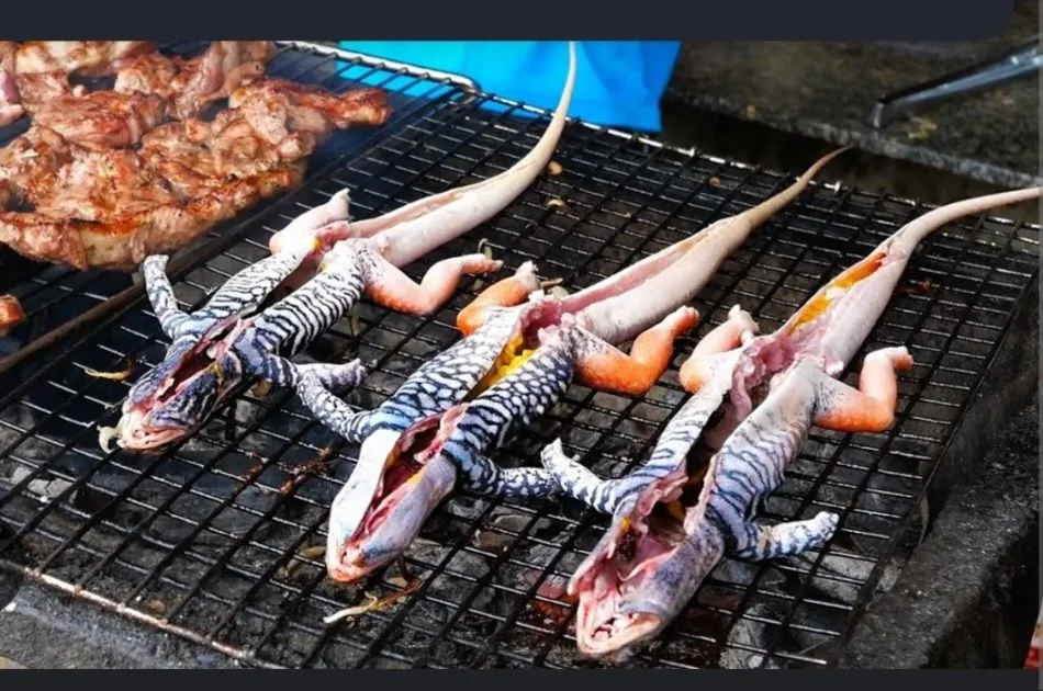 Screenshot_20240517_091004_Chrome.webp