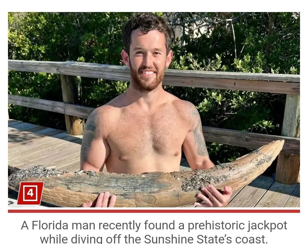 Screenshot_20240606_221510_Chrome.webp