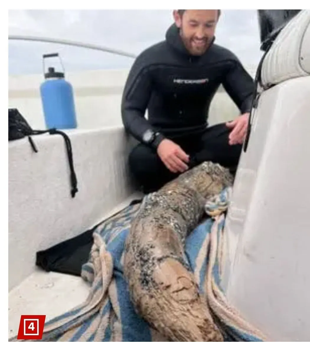 Screenshot_20240606_221531_Chrome.webp
