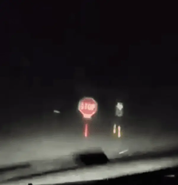 Screenshot_20240624-001100.webp