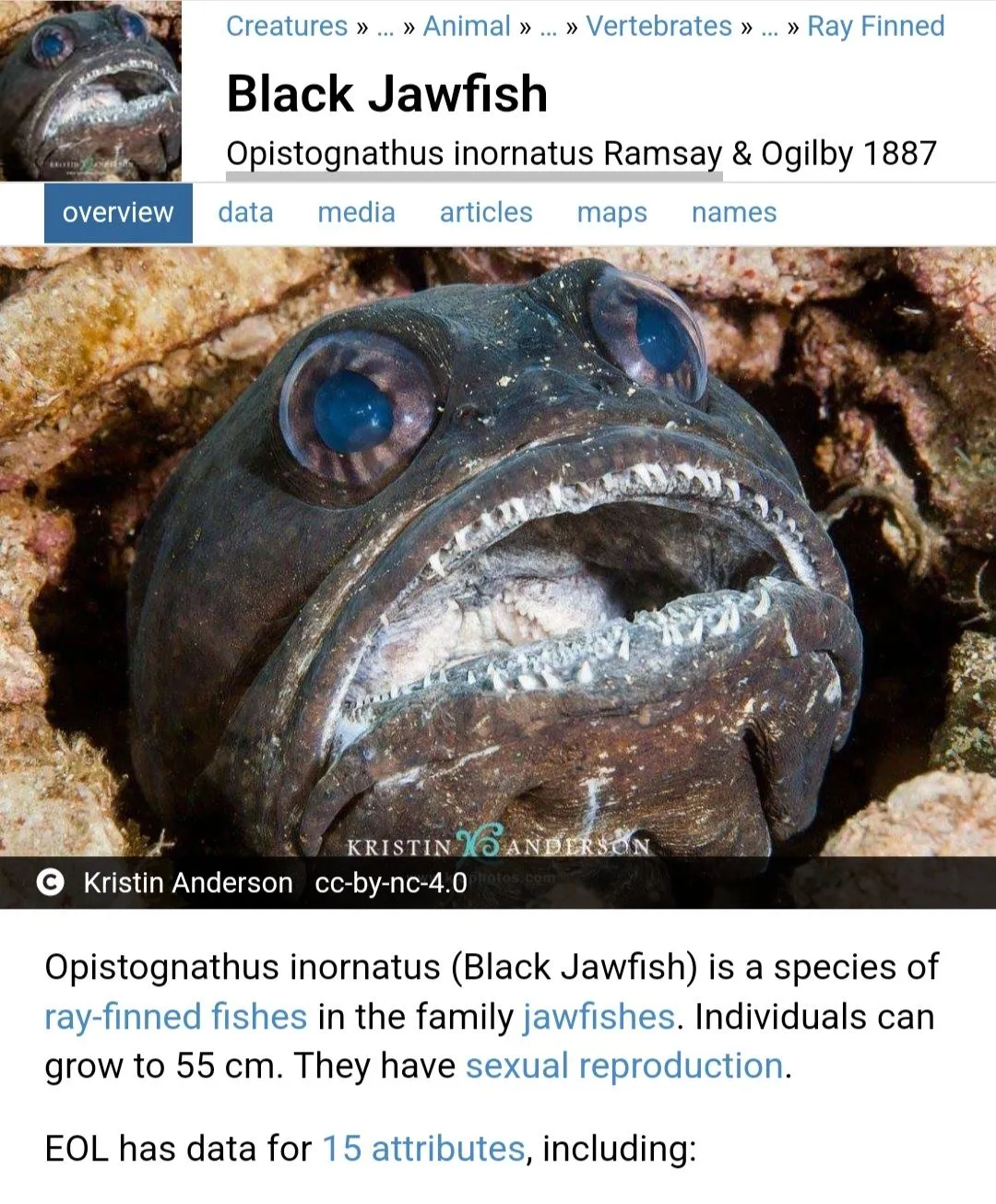 Screenshot_20240722_103226_Chrome.webp
