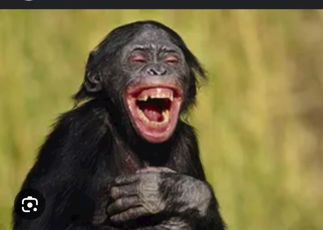 Screenshot_20240810-002021_Google.webp