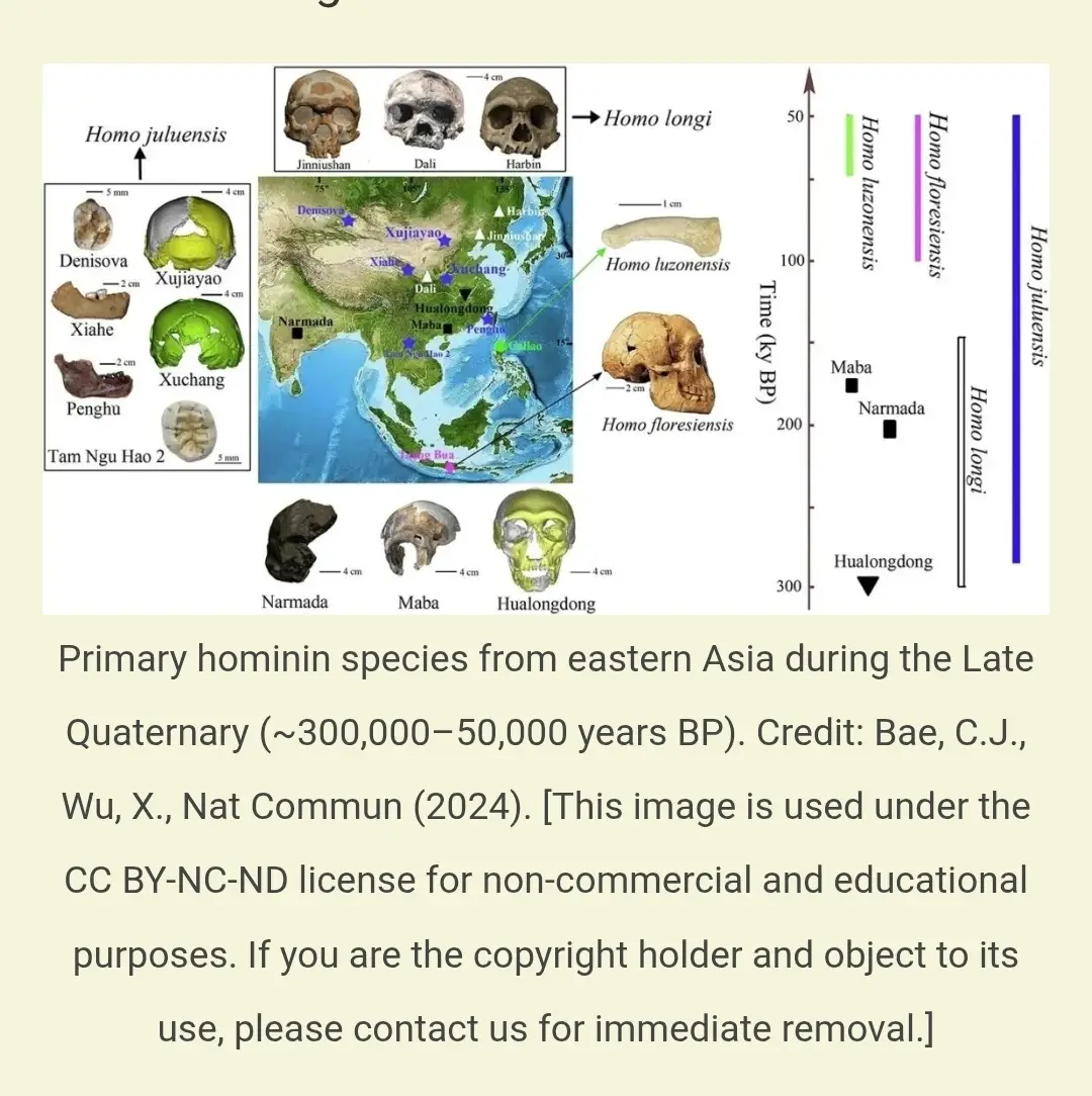 Screenshot_20250725_145336_Chrome.webp