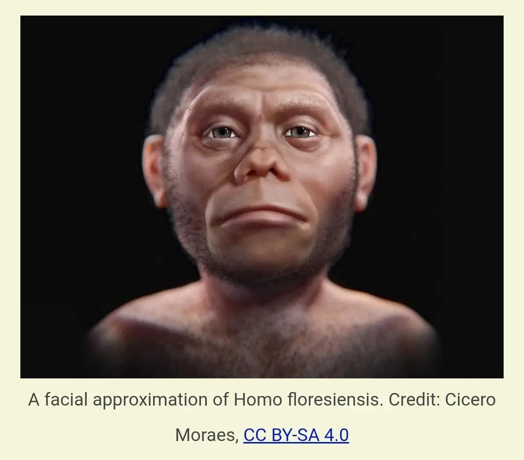 Screenshot_20250725_145437_Chrome.webp