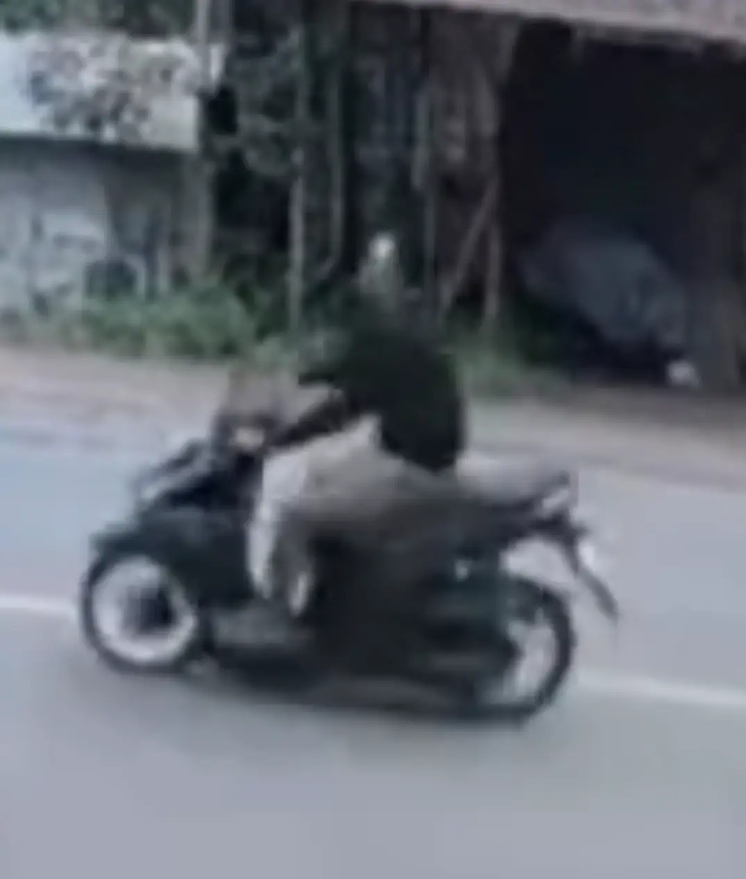 Screenshot_20260413_051001_Gallery.webp