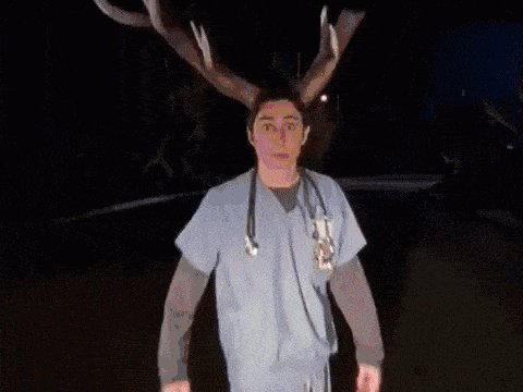 scrubs-deer.gif