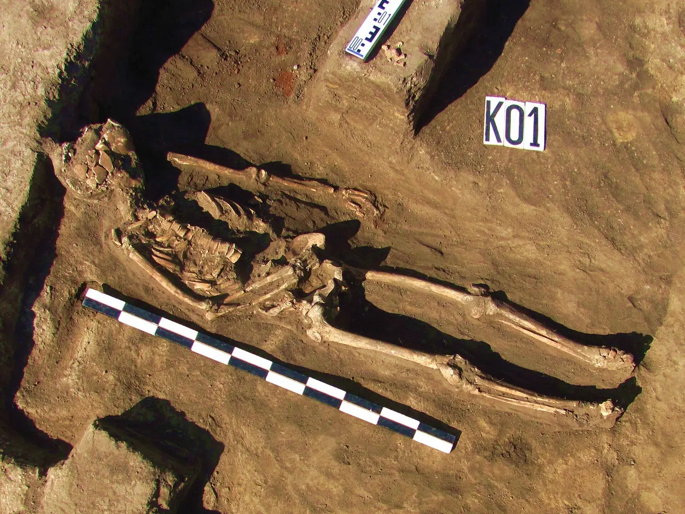 Scythian burial at the Skorobir necropolis in the fortified settlement of Bilski.webp