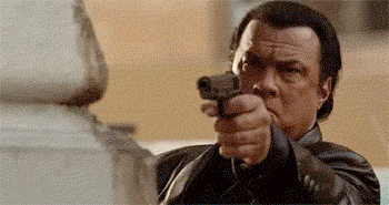 Seagal 1.gif