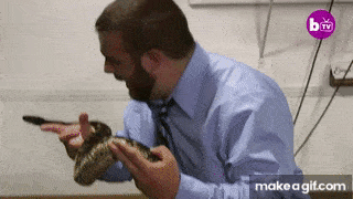Snake_Handling_Pastor_Bitten_By_Deadly_Rattlesnake_MY_LIFE_INSIDE_THE_SNAKE_CHURCH.gif