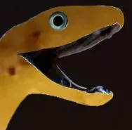 SNEK1.webp
