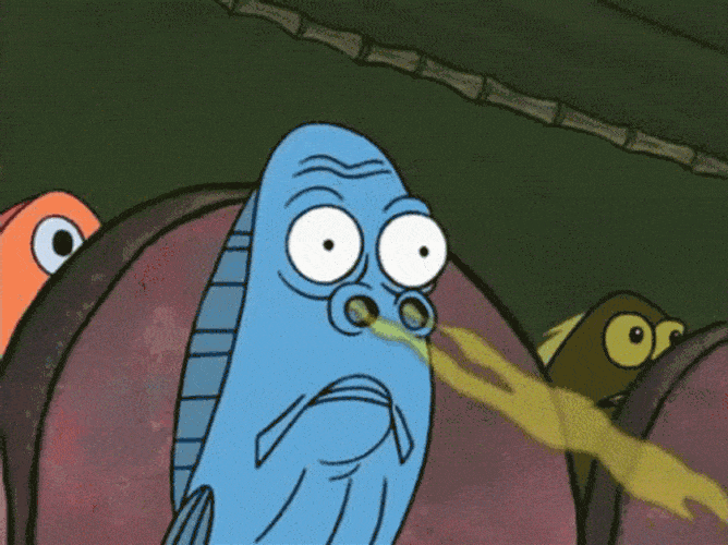 sniff-498-x-373-gif-4ft9atabw3b7zshl.gif