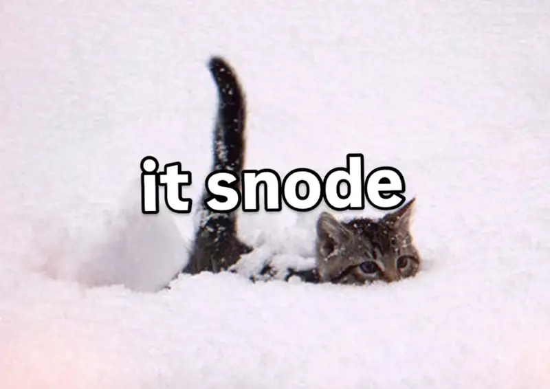 snode.webp