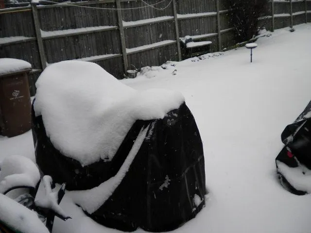 snow 001.webp